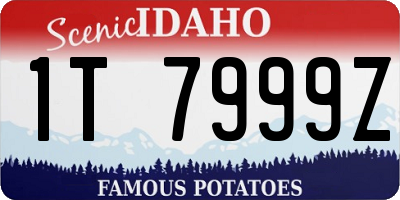 ID license plate 1T7999Z