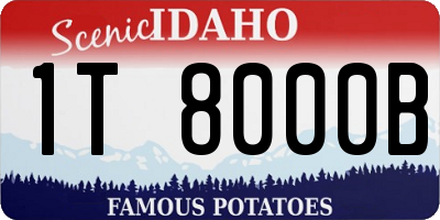 ID license plate 1T8000B