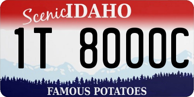 ID license plate 1T8000C