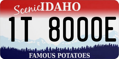 ID license plate 1T8000E