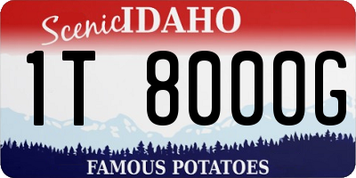 ID license plate 1T8000G