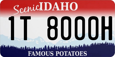 ID license plate 1T8000H