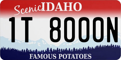 ID license plate 1T8000N