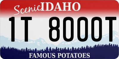 ID license plate 1T8000T