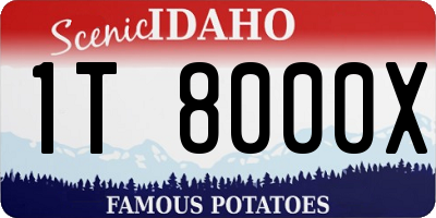 ID license plate 1T8000X