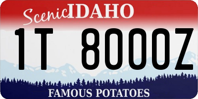 ID license plate 1T8000Z