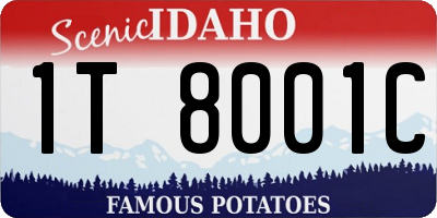 ID license plate 1T8001C