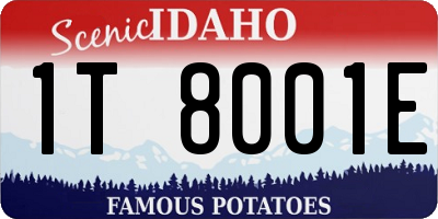 ID license plate 1T8001E