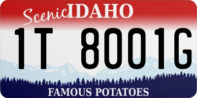 ID license plate 1T8001G