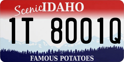 ID license plate 1T8001Q