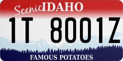ID license plate 1T8001Z
