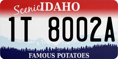 ID license plate 1T8002A
