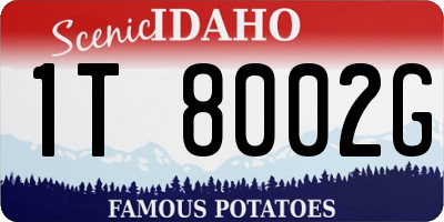 ID license plate 1T8002G