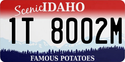 ID license plate 1T8002M