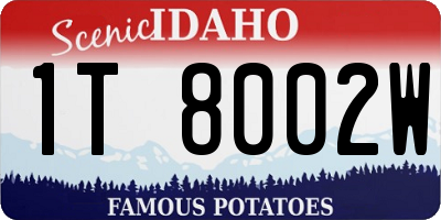 ID license plate 1T8002W