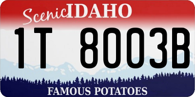 ID license plate 1T8003B