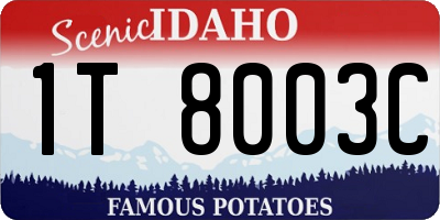 ID license plate 1T8003C