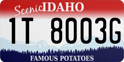 ID license plate 1T8003G