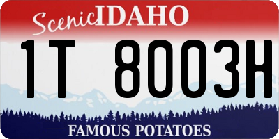 ID license plate 1T8003H