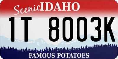 ID license plate 1T8003K