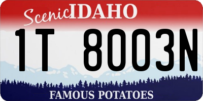 ID license plate 1T8003N