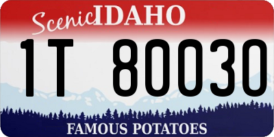 ID license plate 1T8003O