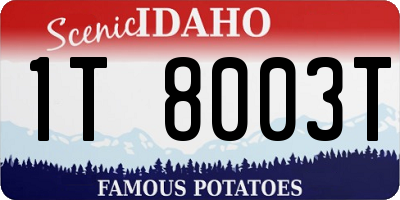 ID license plate 1T8003T