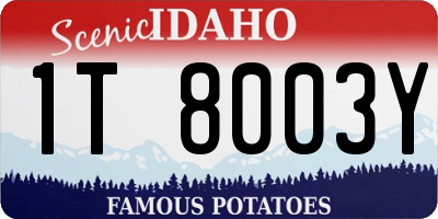 ID license plate 1T8003Y