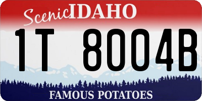 ID license plate 1T8004B