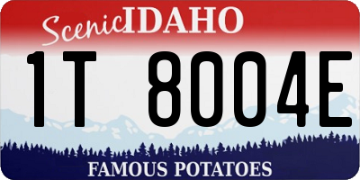 ID license plate 1T8004E