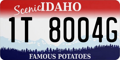 ID license plate 1T8004G