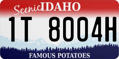 ID license plate 1T8004H