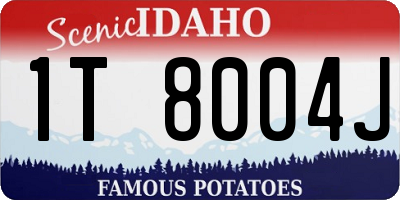 ID license plate 1T8004J
