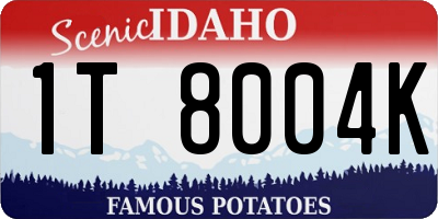 ID license plate 1T8004K