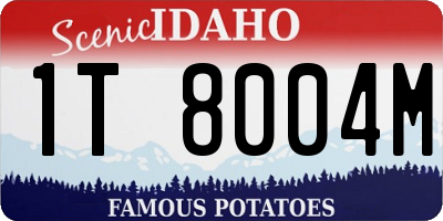 ID license plate 1T8004M