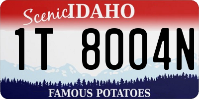 ID license plate 1T8004N