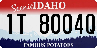 ID license plate 1T8004Q
