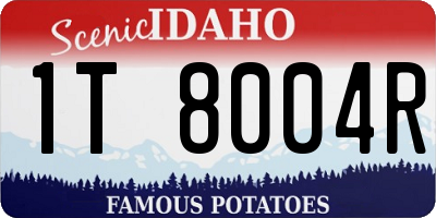 ID license plate 1T8004R