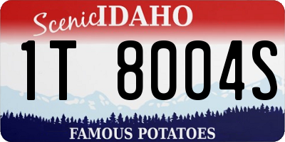 ID license plate 1T8004S