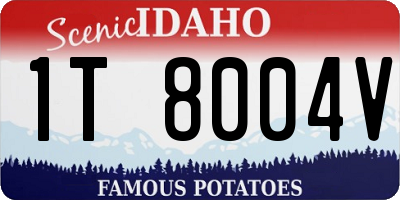 ID license plate 1T8004V