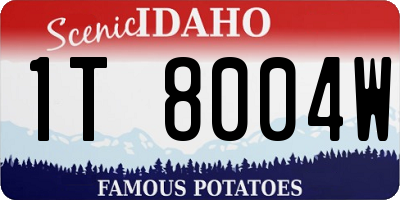 ID license plate 1T8004W