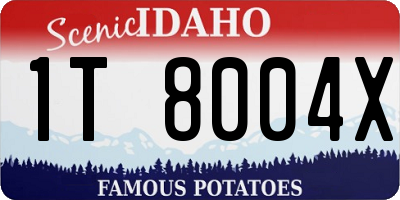 ID license plate 1T8004X
