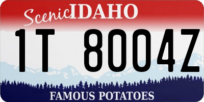 ID license plate 1T8004Z