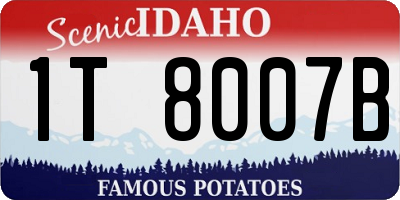 ID license plate 1T8007B