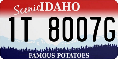ID license plate 1T8007G