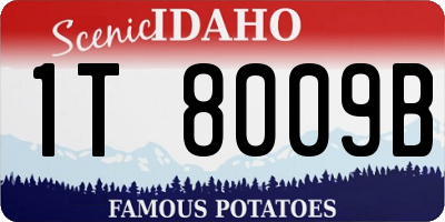 ID license plate 1T8009B
