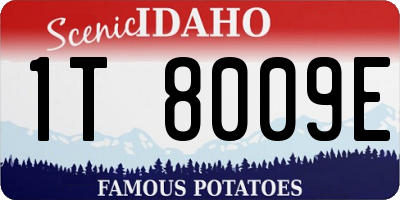 ID license plate 1T8009E