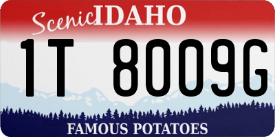 ID license plate 1T8009G
