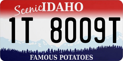 ID license plate 1T8009T