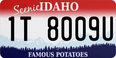 ID license plate 1T8009U